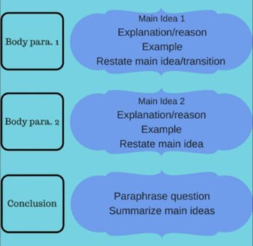 Essay Main Body